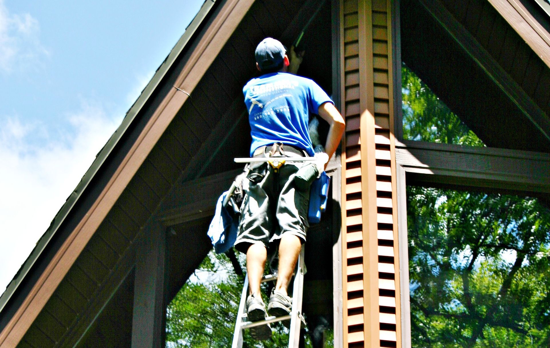 Trammel's Professional Window Cleaning